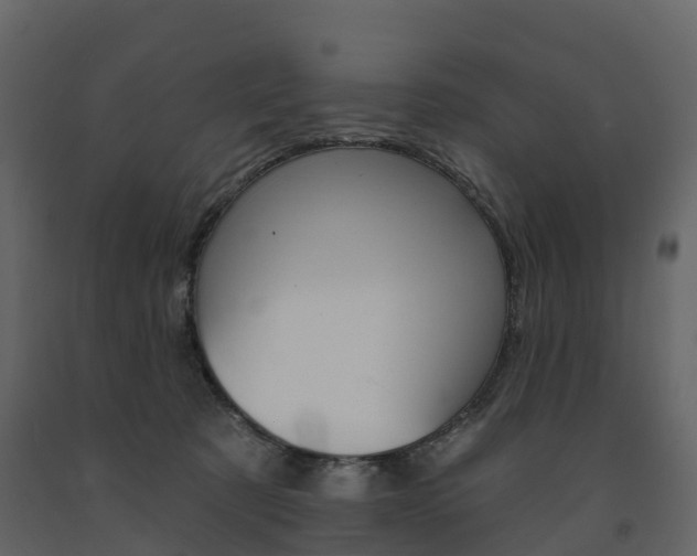 X0000091690321200708231136
