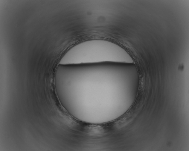 X0000091690322200708231136