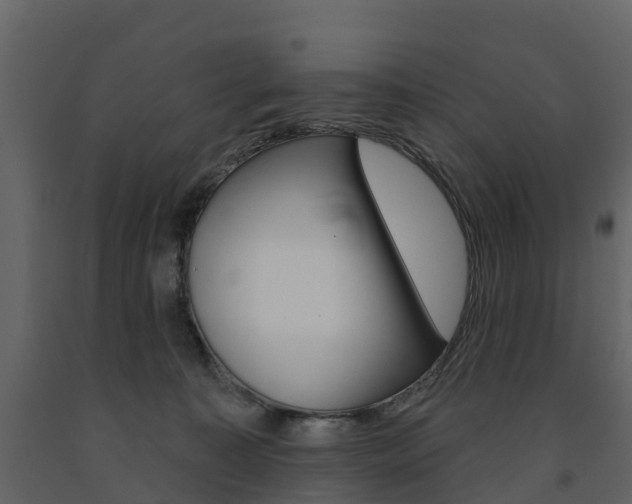 X0000091690323200708231136