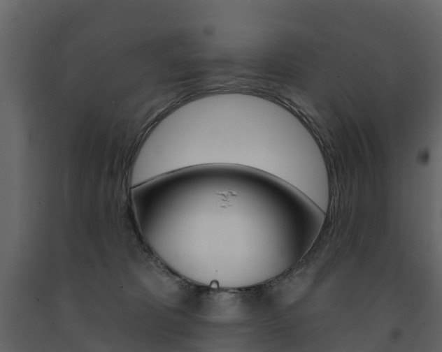 X0000091690325200708231136