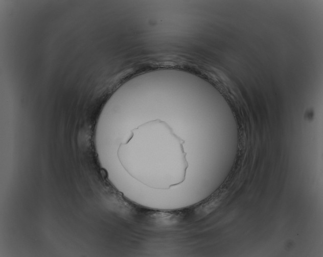 X0000091690326200708231136