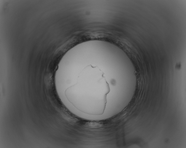X0000091690327200708231136