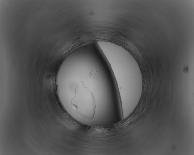 X0000091690329200708231136