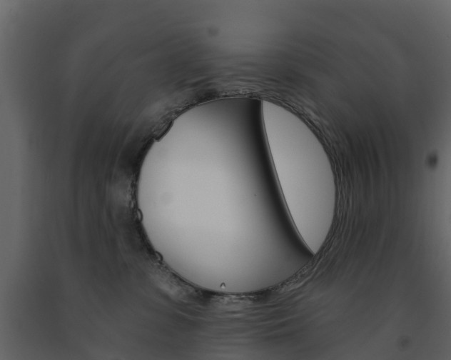 X0000091690331200708231136