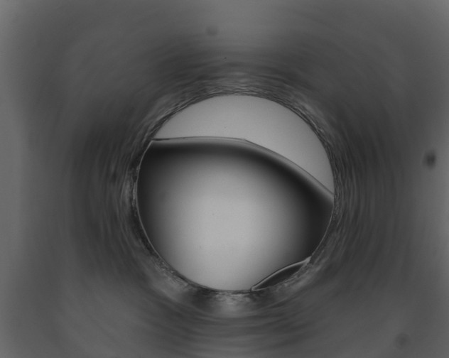 X0000091690333200708231136