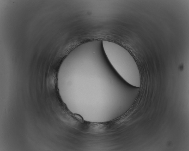 X0000091690334200708231136