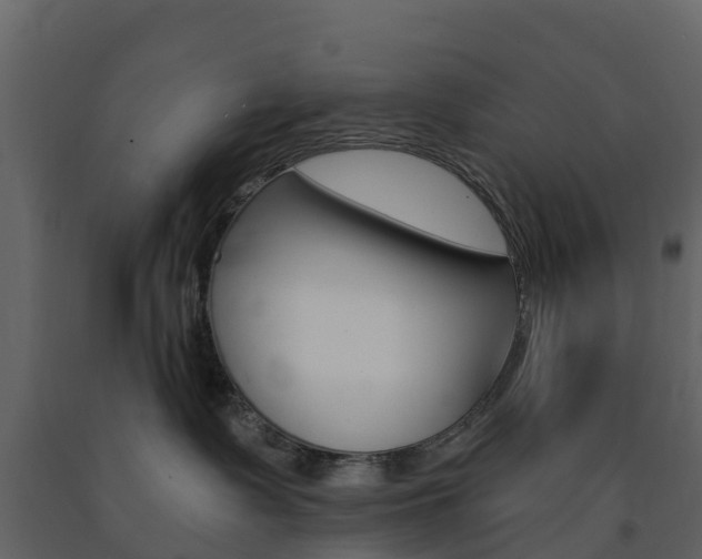 X0000091690335200708231136