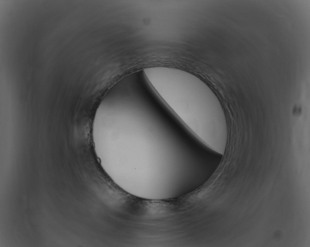 X0000091690336200708231136