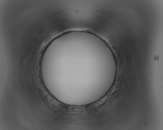 X0000091690337200708231135