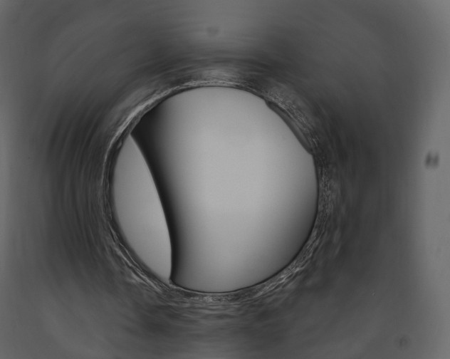 X0000091690338200708231135
