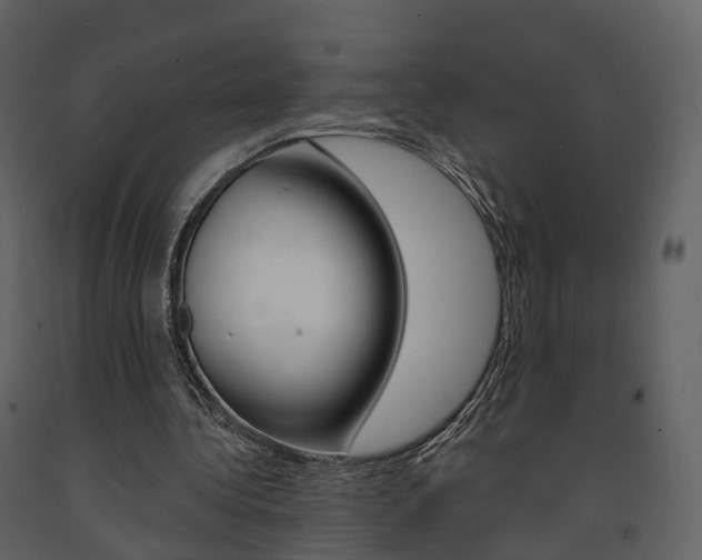 X0000091690340200708231135