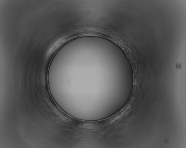 X0000091690341200708231135
