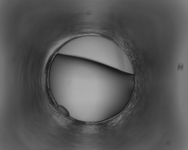 X0000091690342200708231135