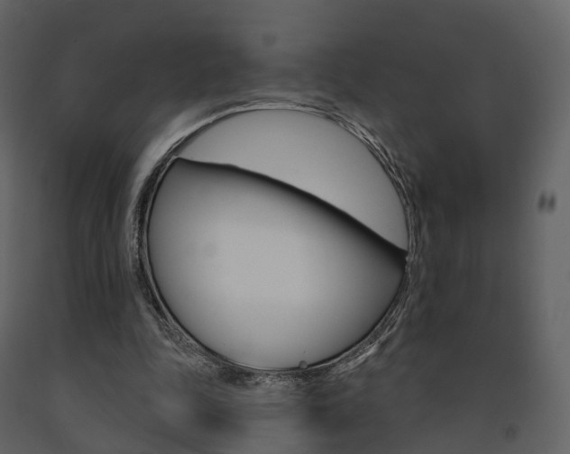 X0000091690343200708231135
