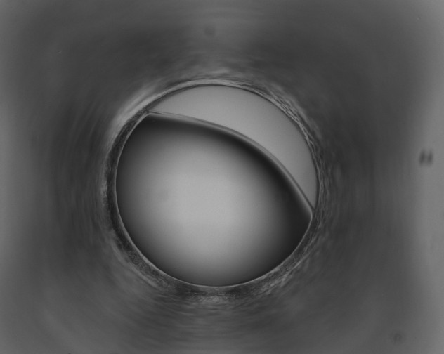 X0000091690344200708231135