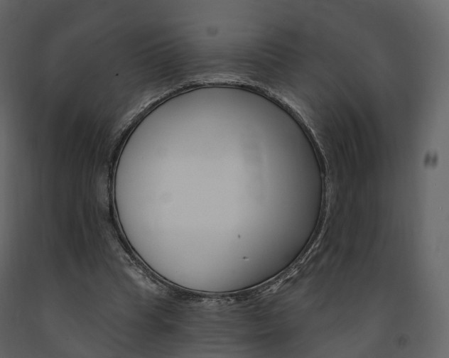 X0000091690345200708231135