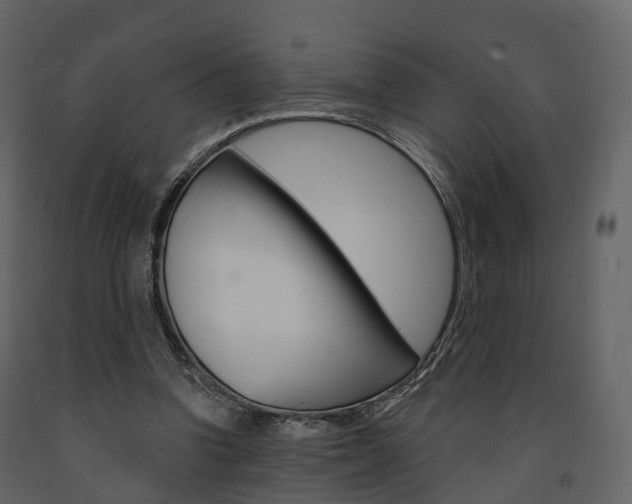X0000091690346200708231135