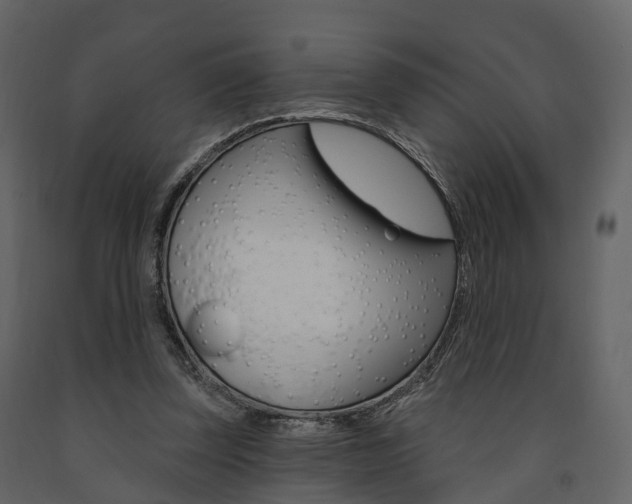 X0000091690347200708231135