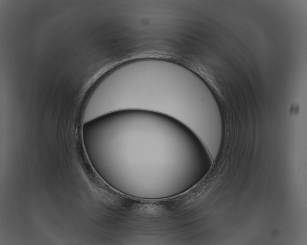 X0000091690348200708231135