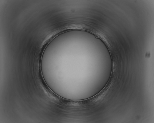 X0000091690349200708231135