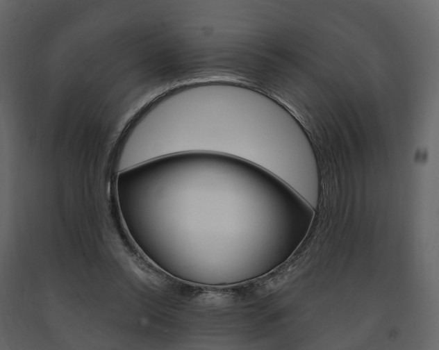 X0000091690350200708231135