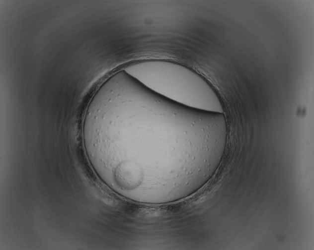 X0000091690351200708231135