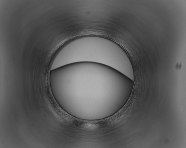 X0000091690352200708231135
