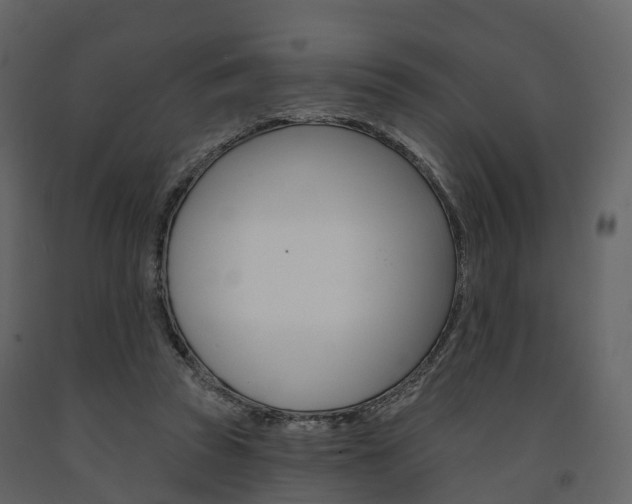 X0000091690353200708231135