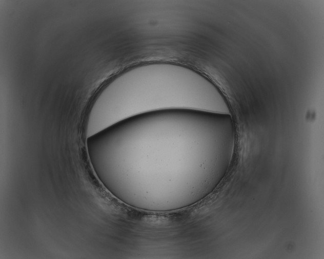 X0000091690354200708231135