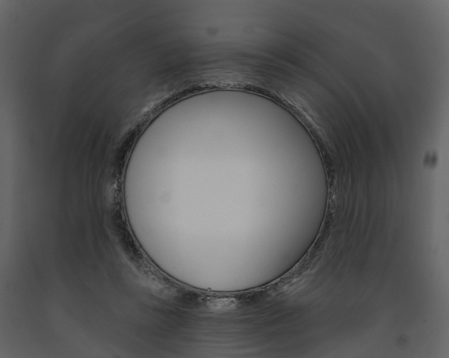X0000091690355200708231135