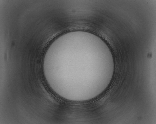 X0000091690356200708231135