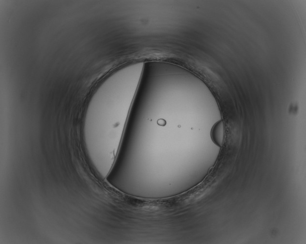 X0000091690358200708231135
