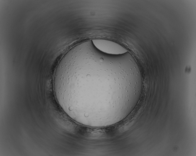 X0000091690359200708231135
