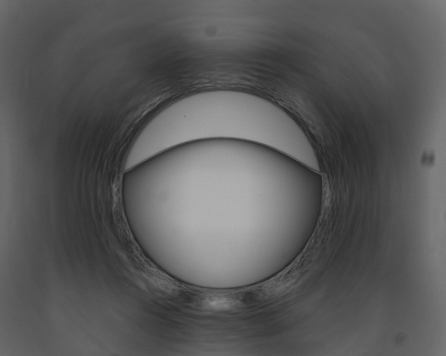 X0000091690360200708231135