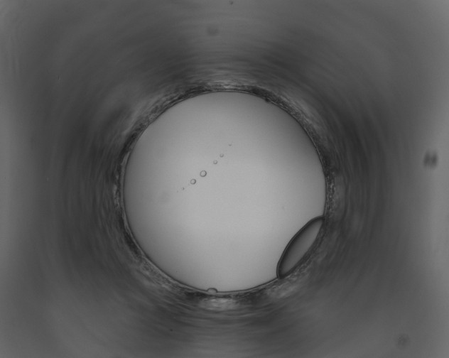 X0000091690361200708231135