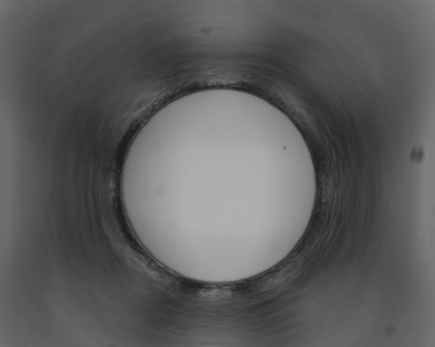 X0000091690362200708231135