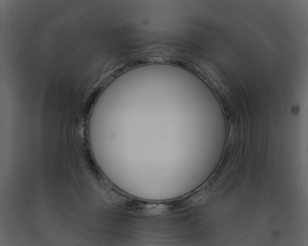X0000091690363200708231135