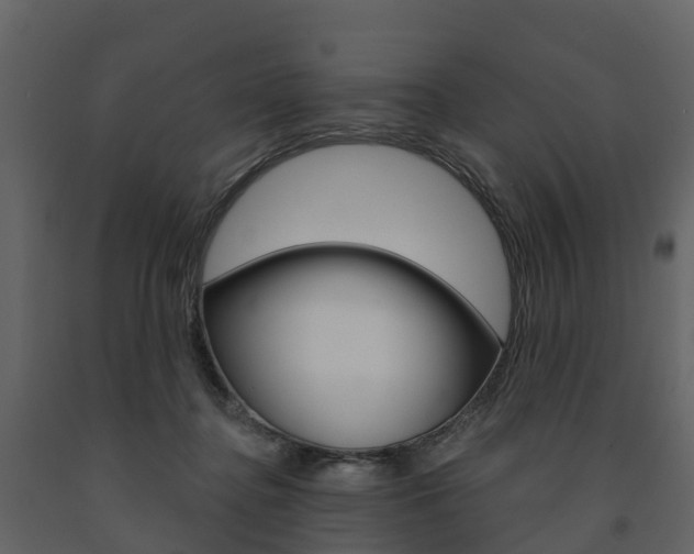 X0000091690364200708231135