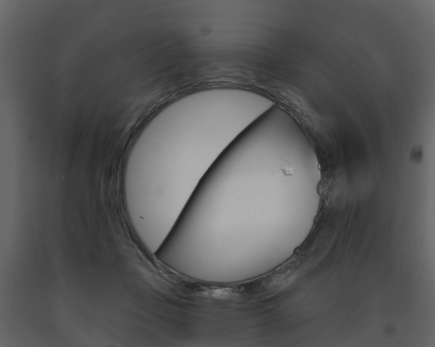 X0000091690365200708231135