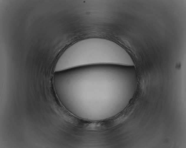 X0000091690366200708231135
