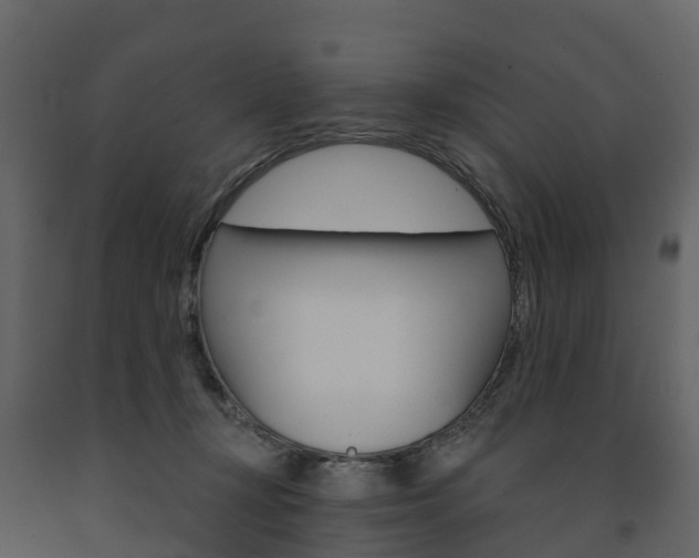 X0000091690367200708231135
