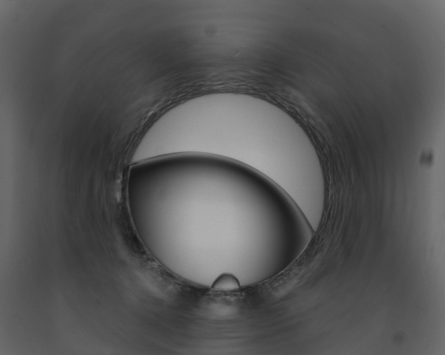 X0000091690368200708231136