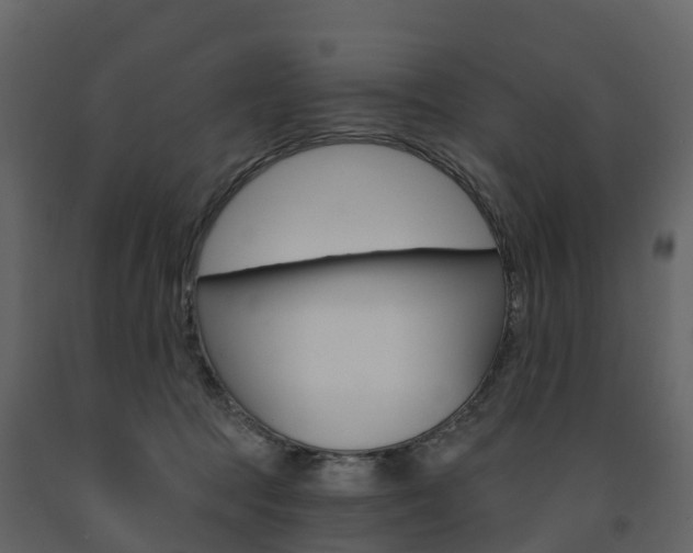 X0000091690369200708231136
