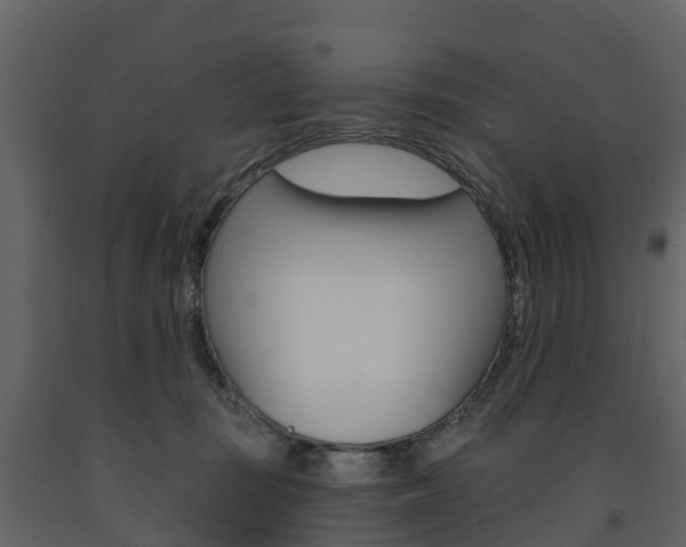 X0000091690371200708231136