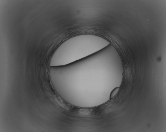 X0000091690373200708231136
