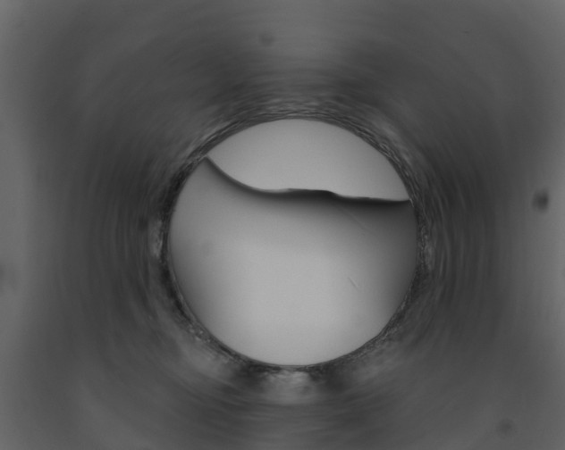 X0000091690374200708231136
