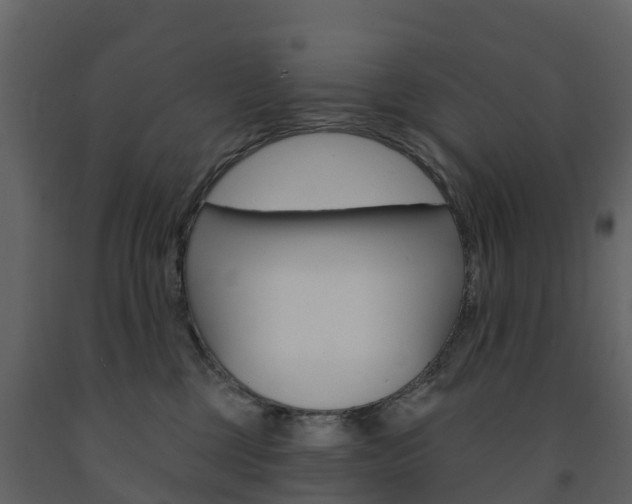 X0000091690377200708231136