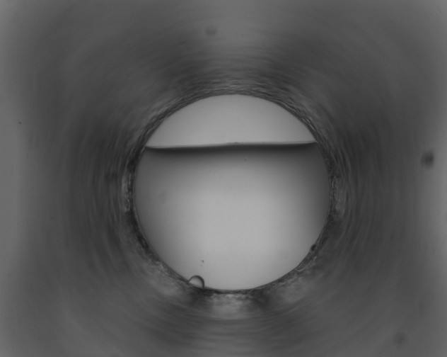 X0000091690378200708231136