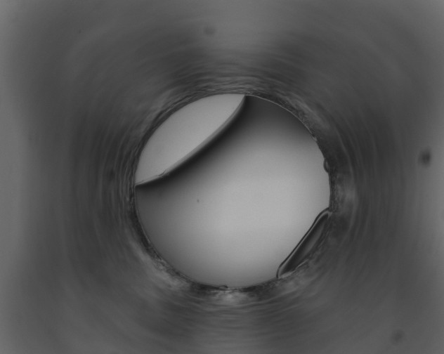 X0000091690379200708231136