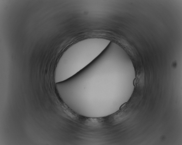 X0000091690381200708231136